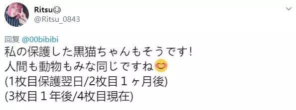 这些被爱滋养过的毛孩子内容太过真实堪比整容……