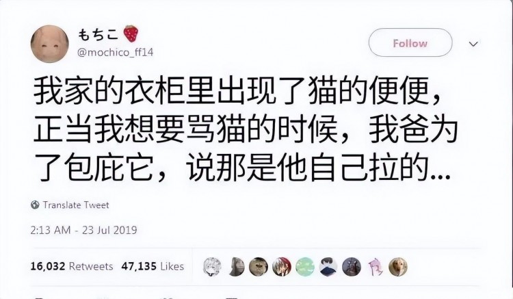 我家猫尿进了洗衣篓里我爸为了包庇猫说是他尿的···