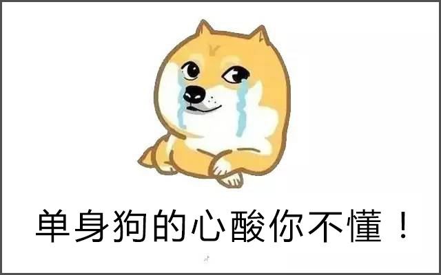 网友单身后养了对柴犬，没想到1年后心酸无比，每天被迫吃狗粮！